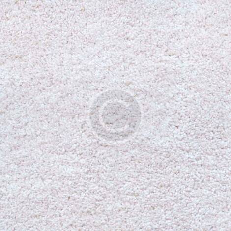 White Carpet